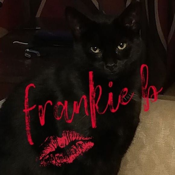 Meet your Posher, Kimmer - Picture 1 of 1